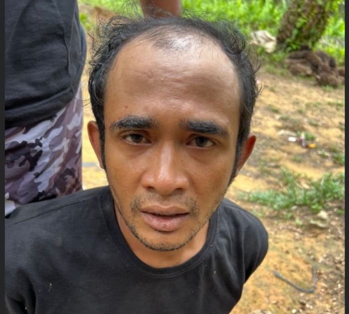 Buron Setahun, Otak Pembunuhan Wardatun Toyibah Ditangkap Polres Gresik di Hutan Sawit Kalimantan Buron Setahun, Otak Pembunuhan Wardatun Toyibah Ditangkap Polres Gresik di Hutan Sawit Kalimantan
