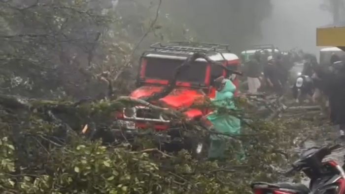 Longsor di Bukit Kedaluh Tutup Jalur Penanjakan Bromo, Sejumlah Kendaraan Tertimbun