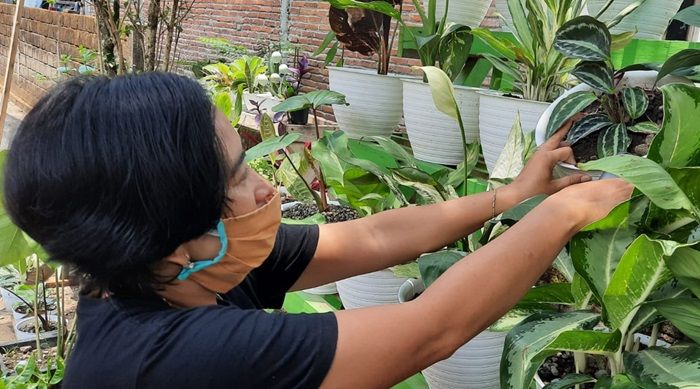 Berbisnis Bunga, Cara Jitu Warga Puncu Kediri Hasilkan Uang di Tengah Pandemi