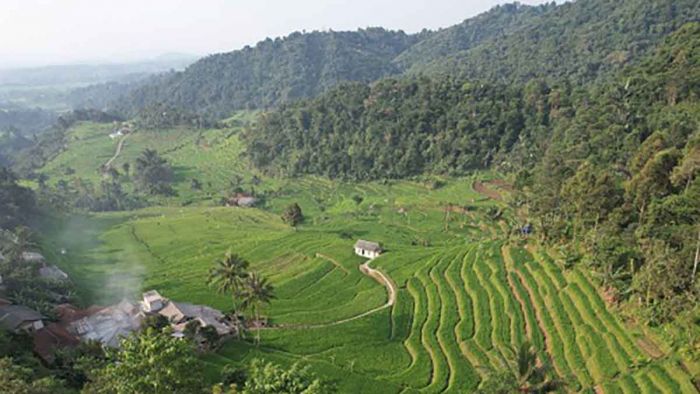 Buka GTRA Jatim, Dirjen Agraria Sampaikan Peran Reforma Agraria dalam Mendukung Asta Cita Buka GTRA Jatim, Dirjen Agraria Sampaikan Peran Reforma Agraria dalam Mendukung Asta Cita