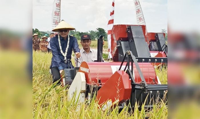 Hasan Aminuddin Bantah Pupuk Subsidi Langka: Hanya Belum Terdistribusi Hasan Aminuddin Bantah Pupuk Subsidi Langka: Hanya Belum Terdistribusi