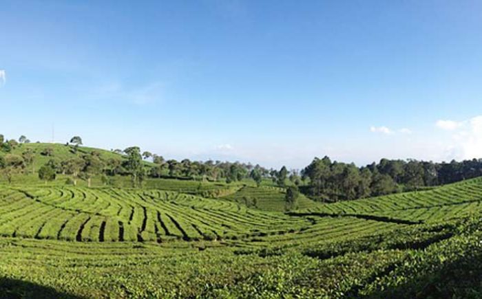 Inilah Destinasi Alam untuk Liburan Terbaik di Bandung