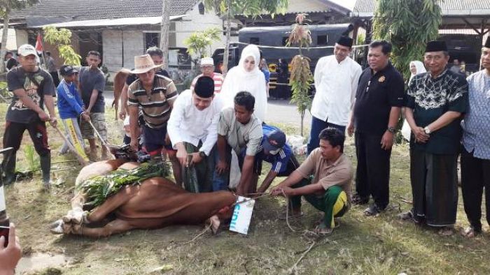 Polda Jatim dan Polres Pamekasan Kurban 29 Sapi di Hari Raya Idul Adha 1440 H Polda Jatim dan Polres Pamekasan Kurban 29 Sapi di Hari Raya Idul Adha 1440 H