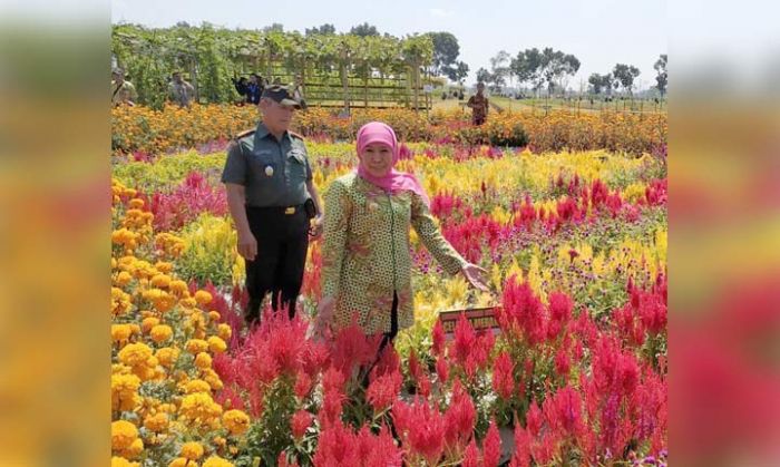 Gubernur Jatim Resmikan Dewi Cemara di Papar Kediri Gubernur Jatim Resmikan Dewi Cemara di Papar Kediri