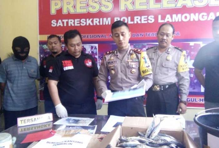 Polisi Gerebek Pengolahan Ikan Asin Menggunakan Formalin di Lamongan Polisi Gerebek Pengolahan Ikan Asin Menggunakan Formalin di Lamongan