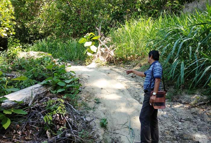 Belum Dibersihkan, Akses Jalan Menuju Patok Koang Masih Buntu