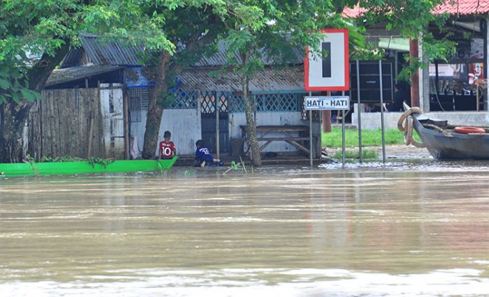Bengawan Solo Bojonegoro Masuk Siaga 1 Banjir, Sejumlah Desa Mulai Tergenang
