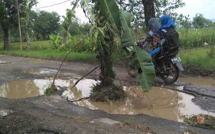 Kerap Timbulkan Kecelakaan, Jalan di Senori Ditanami Pohon, Warga Minta Pertamina EP Tanggung Jawab Kerap Timbulkan Kecelakaan, Jalan di Senori Ditanami Pohon, Warga Minta Pertamina EP Tanggung Jawab