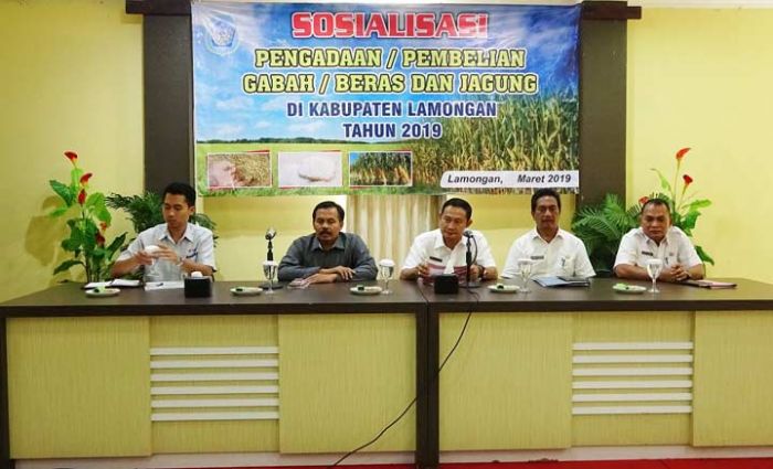 Pemkab Lamongan Pasarkan Jagung ke Blitar Pemkab Lamongan Pasarkan Jagung ke Blitar