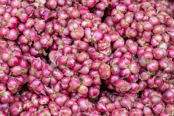 Harga Pangan Yogyakarta: Bawang Merah Naik, Cabai Rawit Turun Drastis Harga Pangan Yogyakarta: Bawang Merah Naik, Cabai Rawit Turun Drastis
