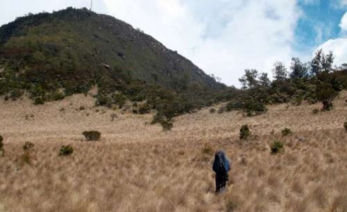 Cuaca Ekstrem, Jalur Pendakian Gunung Lawu Ditutup