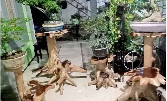 Berkat Ketekunan dan Kreativitasnya, Kholik Sukses Jadi Pengusaha Mebel Akar Kayu Jati Berkat Ketekunan dan Kreativitasnya, Kholik Sukses Jadi Pengusaha Mebel Akar Kayu Jati