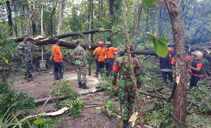 Hujan Disertai Angin Kencang di Ngawi Robohkan Banyak Pohon dan Rontokkan Genting Warga Hujan Disertai Angin Kencang di Ngawi Robohkan Banyak Pohon dan Rontokkan Genting Warga