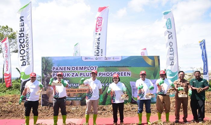 Pupuk Petro ZA Plus dan Phosgreen Tingkatkan Produktivitas Budidaya Bibit Kentang di Karo Pupuk Petro ZA Plus dan Phosgreen Tingkatkan Produktivitas Budidaya Bibit Kentang di Karo