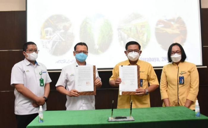 Petrokimia Gresik Teken Kerja Sama Penyediaan Pupuk dengan PTPN X Petrokimia Gresik Teken Kerja Sama Penyediaan Pupuk dengan PTPN X