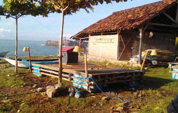 Musim Paceklik, Nelayan Pacitan Nekat Tangkap Benur Musim Paceklik, Nelayan Pacitan Nekat Tangkap Benur