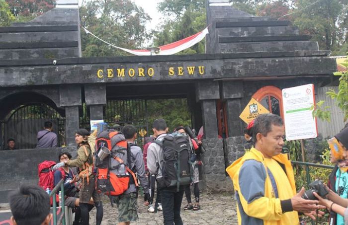 Pendaki Gunung Lawu Meningkat Dua Kali Lipat Pendaki Gunung Lawu Meningkat Dua Kali Lipat