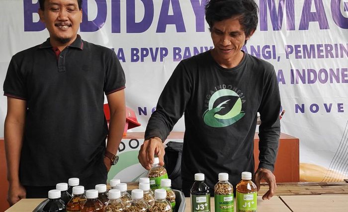 Ragam Program PPM PT BSI, dari Pemberdayaan UMKM Hingga Budi Daya Maggot Ragam Program PPM PT BSI, dari Pemberdayaan UMKM Hingga Budi Daya Maggot