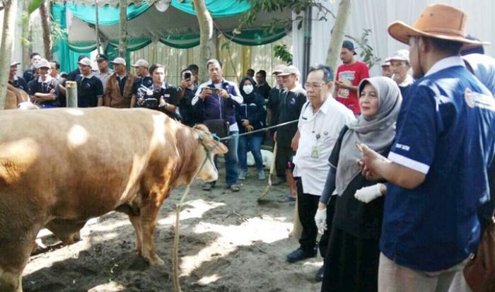 Jelang Idul Adha, Pemkot Kediri Gelar 