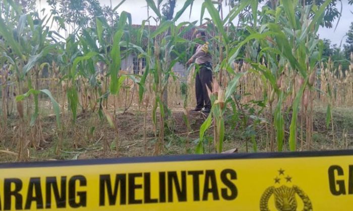 Penemuan Mayat di Wonotirto, Kapolres Blitar: Bukan Bunuh Diri, Penyebab Kematian Jeratan di Leher Penemuan Mayat di Wonotirto, Kapolres Blitar: Bukan Bunuh Diri, Penyebab Kematian Jeratan di Leher