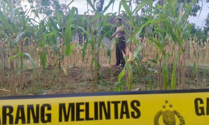 ​Penemuan Mayat di Wonotirto, Kapolres Blitar: Bukan Bunuh Diri, Penyebab Kematian Jeratan di Leher