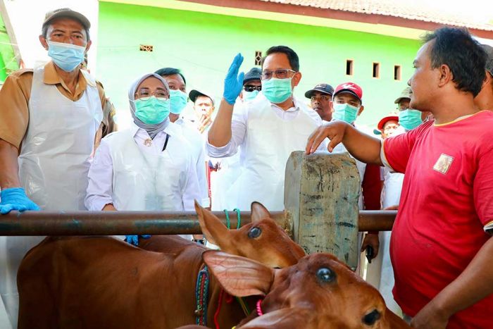 Tetapkan Status Darurat PMK, Pj. Gubernur Jatim Imbau Penanganan Dilakukan Cepat dan Holistik Tetapkan Status Darurat PMK, Pj. Gubernur Jatim Imbau Penanganan Dilakukan Cepat dan Holistik