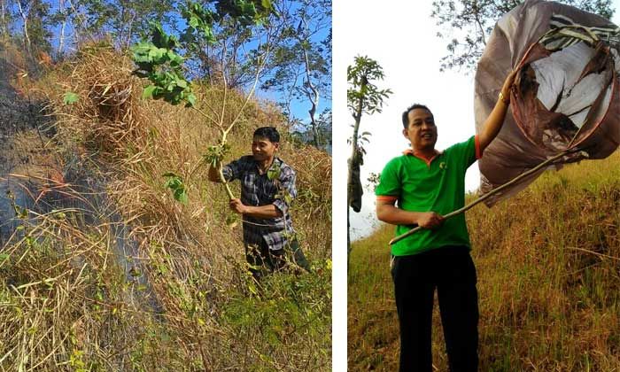 Pasca Kebakaran Hutan di Trenggalek, Masyarakat Diimbau Tak Terbangkan Lampion Sembarangan Pasca Kebakaran Hutan di Trenggalek, Masyarakat Diimbau Tak Terbangkan Lampion Sembarangan