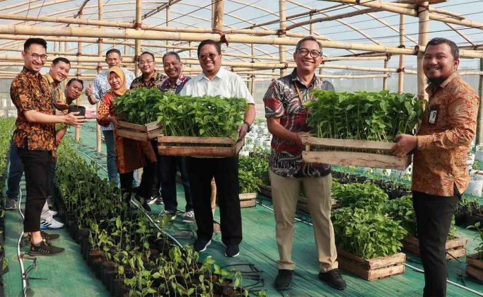 Buka Green Tech, K3PG Dukung Kemandirian Pangan dengan Research dan Demplot Agro Input Pertanian Buka Green Tech, K3PG Dukung Kemandirian Pangan dengan Research dan Demplot Agro Input Pertanian
