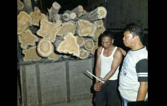 Penimbun Kayu Jati di Ngawi Dicokok Penimbun Kayu Jati di Ngawi Dicokok