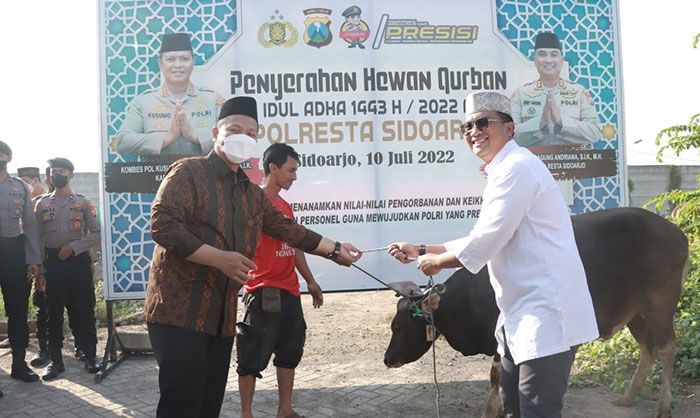 Idul Adha 1443 H, Polresta Sidoarjo Kumpulkan 18 Sapi dan 68 Kambing untuk Masyarakat Idul Adha 1443 H, Polresta Sidoarjo Kumpulkan 18 Sapi dan 68 Kambing untuk Masyarakat