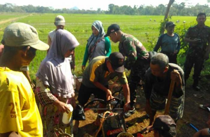 Hama Wereng Coklat Mengancam, PPL Desa Kuniran Lakukan Pengendalian Hama Wereng Coklat Mengancam, PPL Desa Kuniran Lakukan Pengendalian