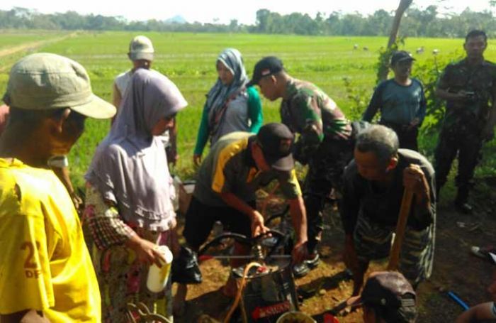 Hama Wereng Coklat Mengancam, PPL Desa Kuniran Lakukan Pengendalian