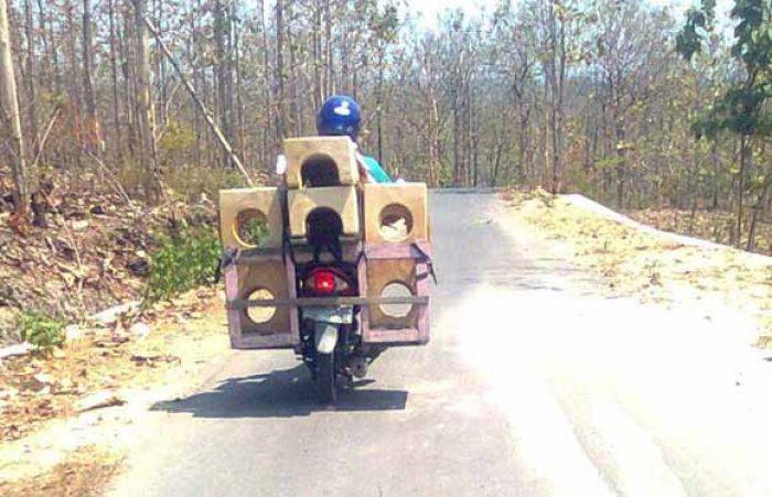 Perajin Tungku Ngawi tetap Bertahan Perajin Tungku Ngawi tetap Bertahan