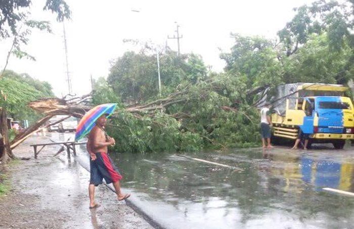 Hujan Disertai Angin Kencang Terjang Mojokerto, Pengendara Motor Nyaris Tertimpa Pohon Hujan Disertai Angin Kencang Terjang Mojokerto, Pengendara Motor Nyaris Tertimpa Pohon