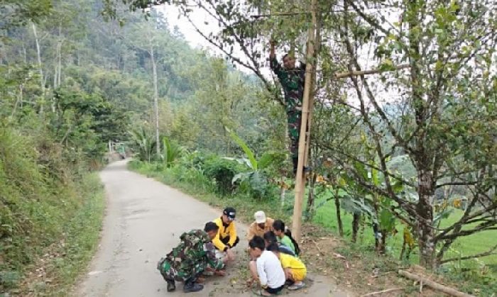 Satgas TMMD Trenggalek Bantu Warga Panen Cengkeh Satgas TMMD Trenggalek Bantu Warga Panen Cengkeh