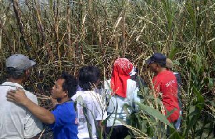 Bakar Sampah Tebu, Petani Tebu Di Kediri Tewas Terpanggang Bakar Sampah Tebu, Petani Tebu Di Kediri Tewas Terpanggang
