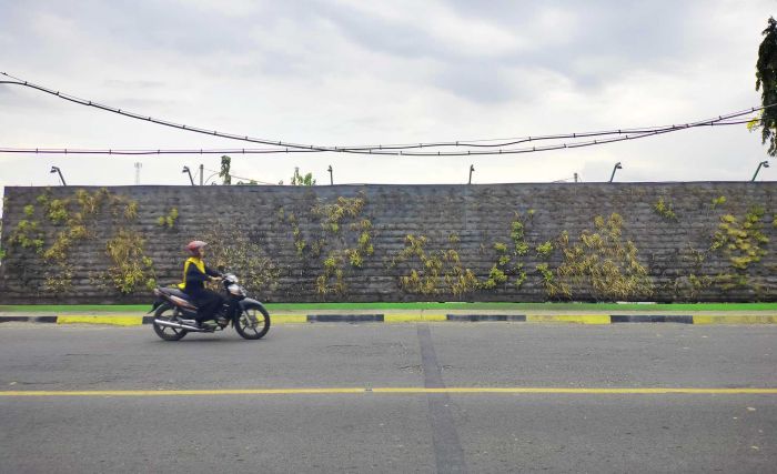 FOTO: Matinya Tanaman di Vertical Garden, Dekat Pintu Masuk Kota Bojonegoro FOTO: Matinya Tanaman di Vertical Garden, Dekat Pintu Masuk Kota Bojonegoro