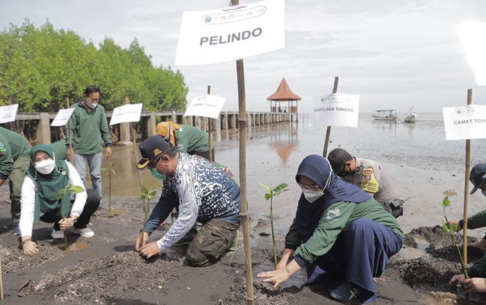 Peringati Bulan Tanam Pohon Nasional, Pelindo III Tanam 32 Ribu Bibit Mangrove di Probolinggo