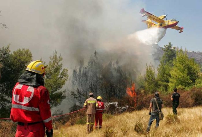 Pacitan Aman dari Aksi Pembakaran Hutan Pacitan Aman dari Aksi Pembakaran Hutan