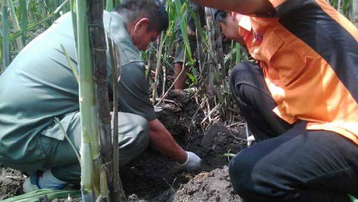 Warga Desa Drenges Nganjuk Digegerkan Penemuan Tengkorak Manusia Warga Desa Drenges Nganjuk Digegerkan Penemuan Tengkorak Manusia