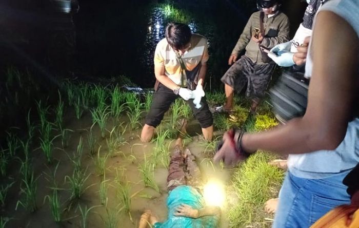 Lagi, Nyawa Seorang Pria di Ngawi Melayang Akibat Tersengat Listrik Jebakan Tikus Lagi, Nyawa Seorang Pria di Ngawi Melayang Akibat Tersengat Listrik Jebakan Tikus