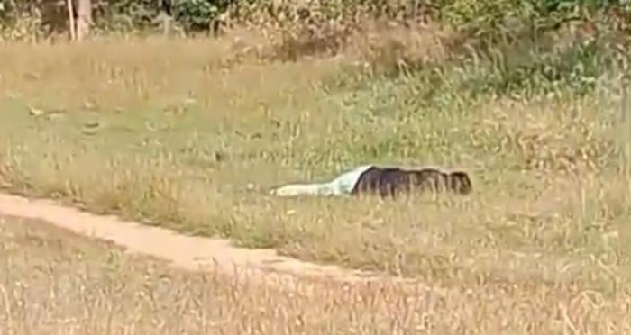 Mayat Pria Ditemukan Tertelungkup di Pinggir Jalan Desa Rapa Daya Sampang Mayat Pria Ditemukan Tertelungkup di Pinggir Jalan Desa Rapa Daya Sampang