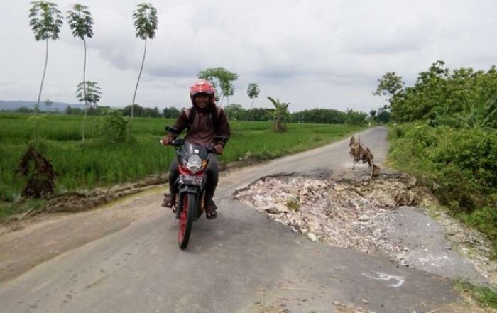 Jalan Senori-Singgahan Ambles, Warga Minta segera Diperbaiki Jalan Senori-Singgahan Ambles, Warga Minta segera Diperbaiki