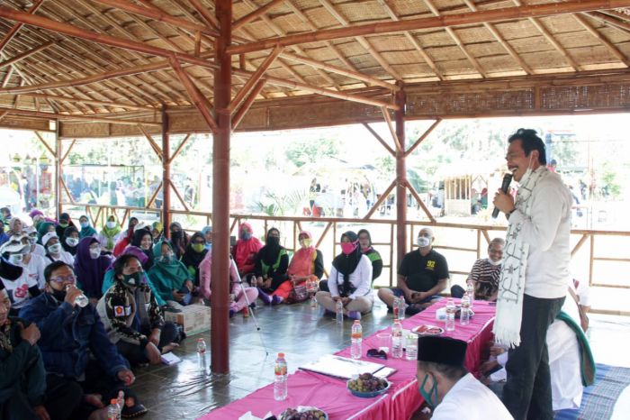 Pulihkan Ekonomi di Tengah Pandemi Covid-19, QA Siapkan Kartu UMKM Bangkit Pulihkan Ekonomi di Tengah Pandemi Covid-19, QA Siapkan Kartu UMKM Bangkit