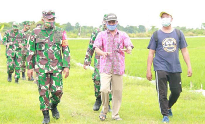 Pandemi Covid-19, Dandim 0812/Lamongan Tinjau Kesiapan Ketahanan Pangan Pandemi Covid-19, Dandim 0812/Lamongan Tinjau Kesiapan Ketahanan Pangan