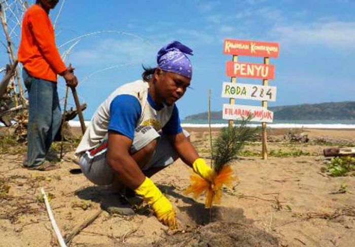 Perkuat Green Belt, Dinas Perikanan Pacitan dan Pokwasmas Pancer Tanam Ribuan Cemara