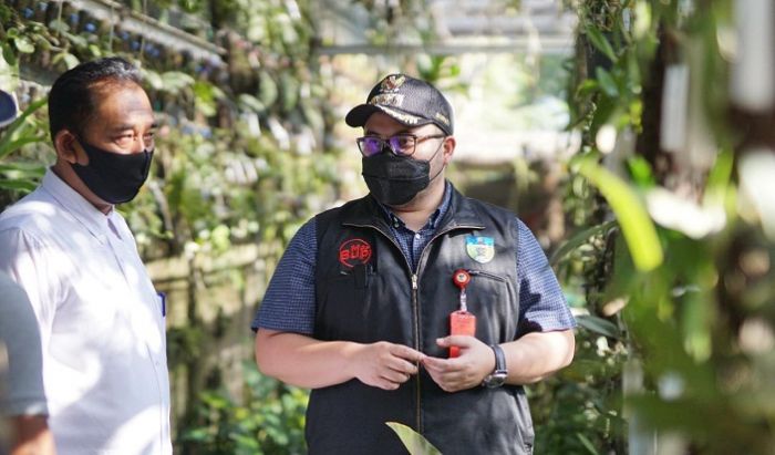 Dengarkan Curhat Petani Tanaman Hias Banjaranyar, Ini Solusi yang Diberikan Bupati Kediri Dengarkan Curhat Petani Tanaman Hias Banjaranyar, Ini Solusi yang Diberikan Bupati Kediri
