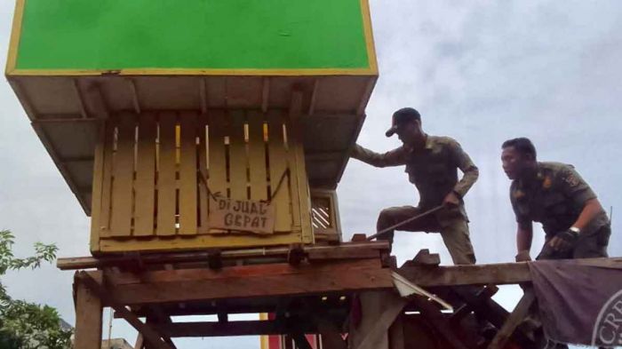 Polsek Gubeng Tertibkan Judi Merpati di Pucang Polsek Gubeng Tertibkan Judi Merpati di Pucang