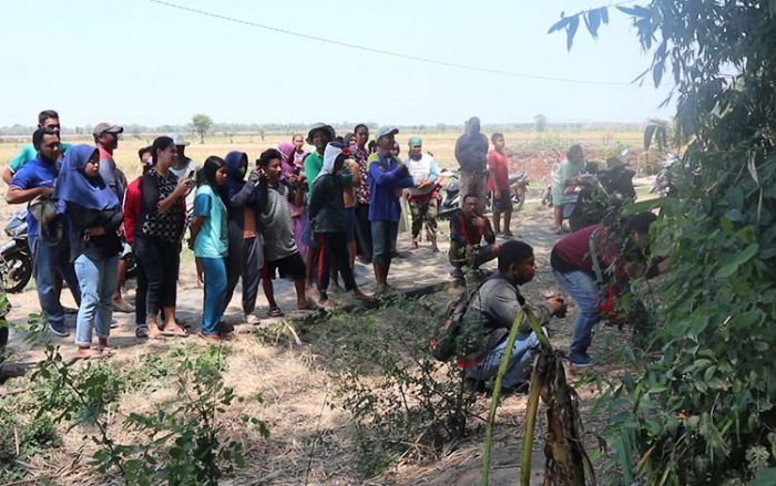 Seorang Pemuda di Jombang Dikabarkan Raib Digondol Wewe Gombel Seorang Pemuda di Jombang Dikabarkan Raib Digondol Wewe Gombel