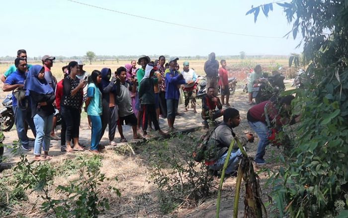 ​Seorang Pemuda di Jombang Dikabarkan Raib Digondol Wewe Gombel